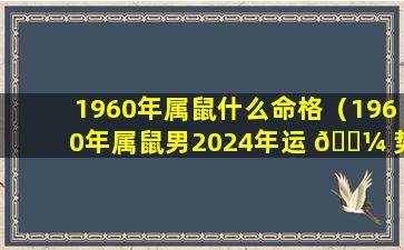 1960年属鼠什么命格（1960年属鼠男2024年运 🌼 势）